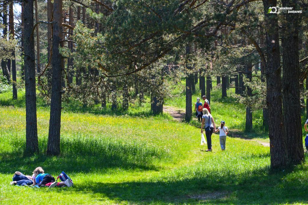 Josipovic Appartamento Zlatibor
